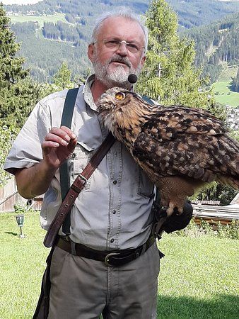 Greifvogelpark Telfes im Stubai